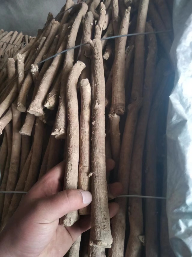 【生黄芪】正宗北黄芪包邮岷县黄芪原条品质保证全国发货