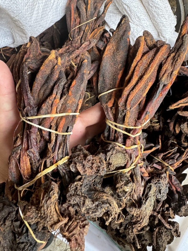 回春草大量现货一手货源，稳定供货欢迎随时咨询下单