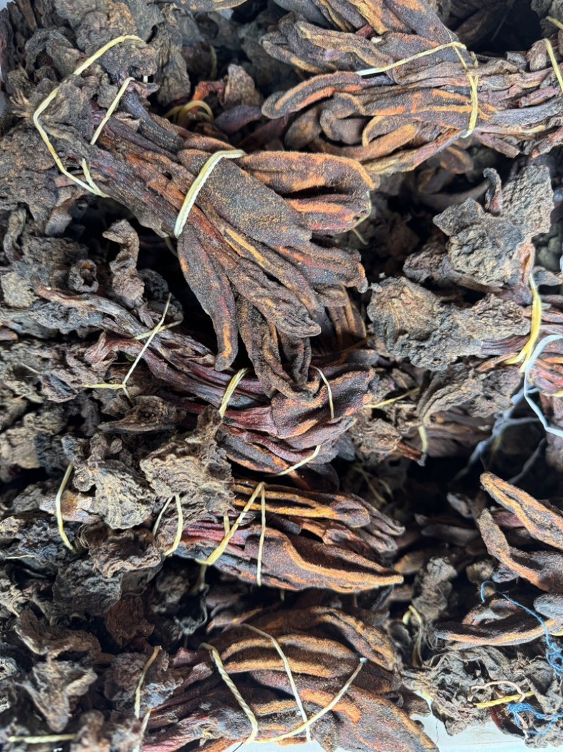 回春草大量现货一手货源，稳定供货欢迎随时咨询下单