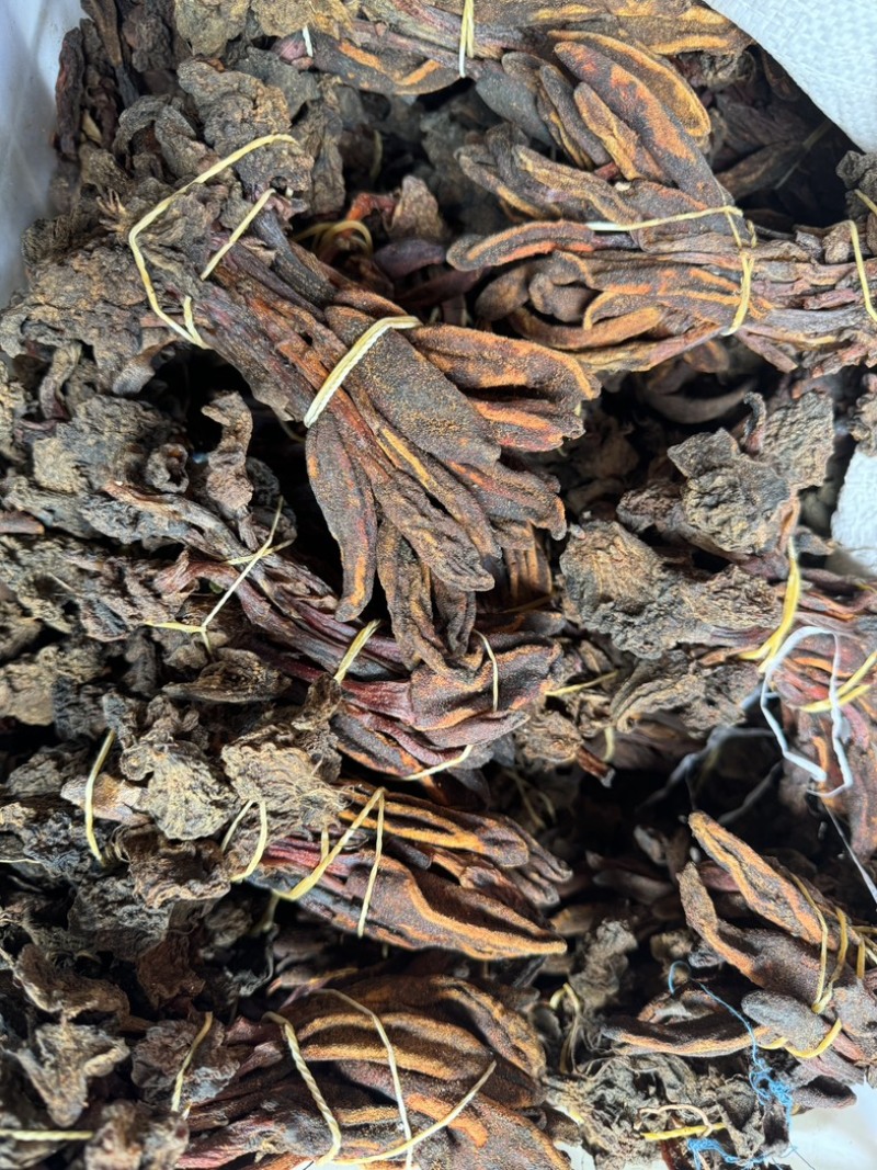 回春草大量现货一手货源，稳定供货欢迎随时咨询下单