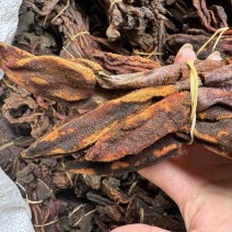回春草大量现货一手货源，稳定供货欢迎随时咨询下单