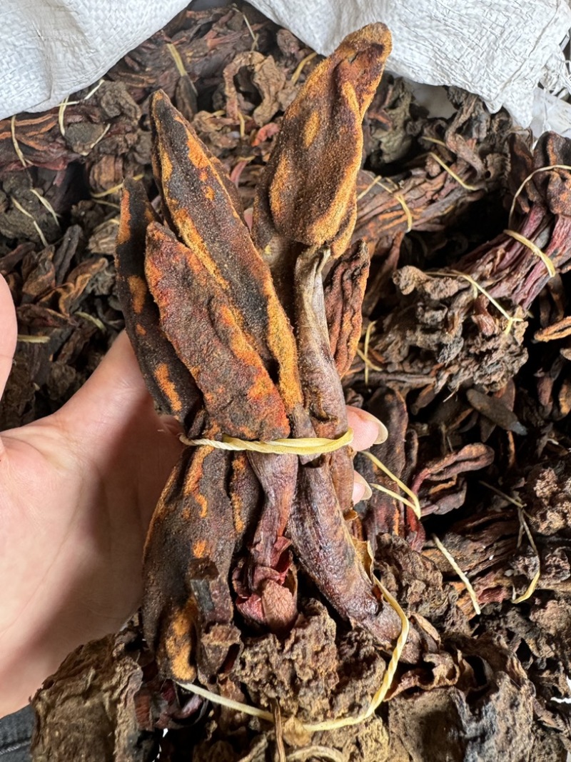 回春草大量现货一手货源，稳定供货欢迎随时咨询下单
