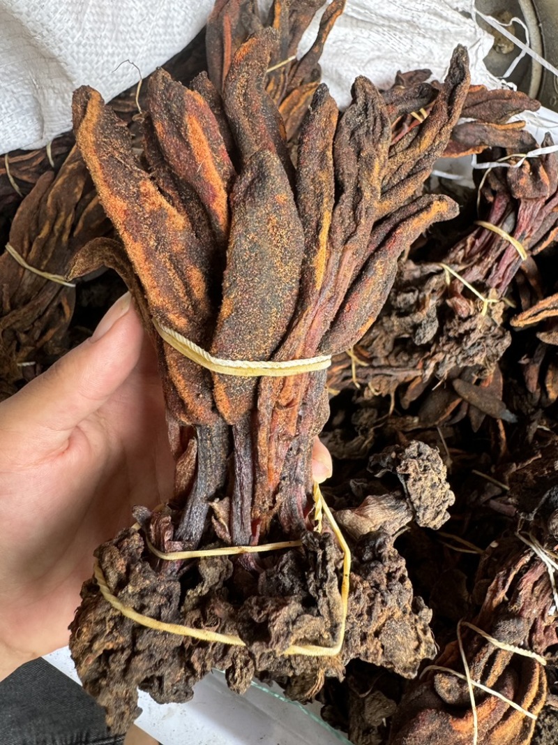 回春草大量现货一手货源，稳定供货欢迎随时咨询下单