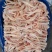 30-40肉食爪