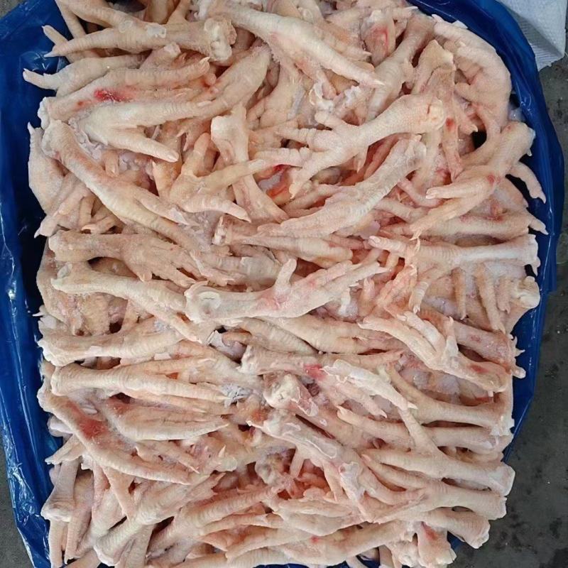30-40肉食爪