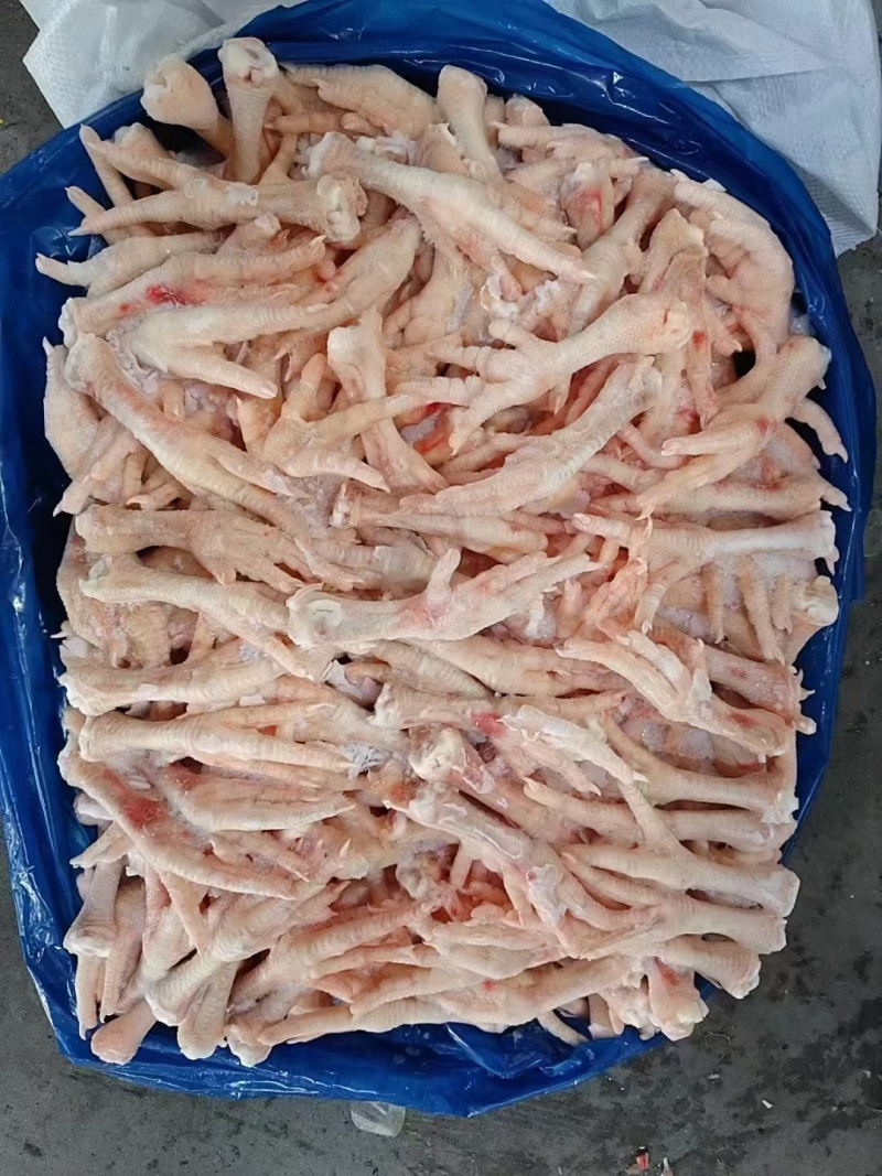 30-40肉食爪