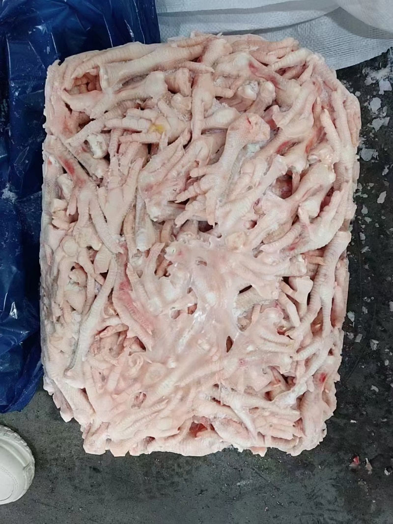 30-40肉食爪