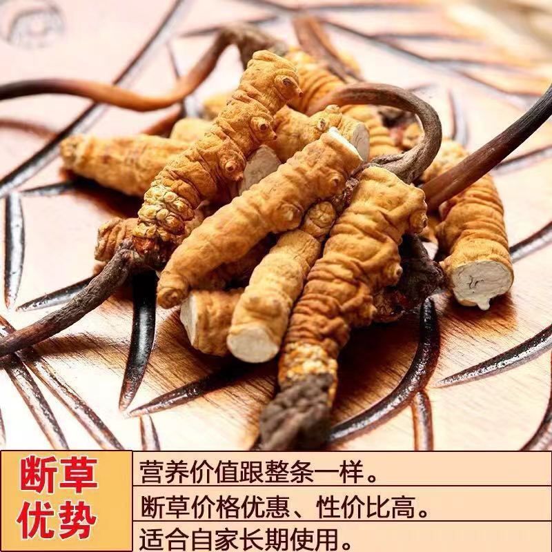 （低价断虫草）冬虫夏草正品西藏那曲虫草批发干虫草大节