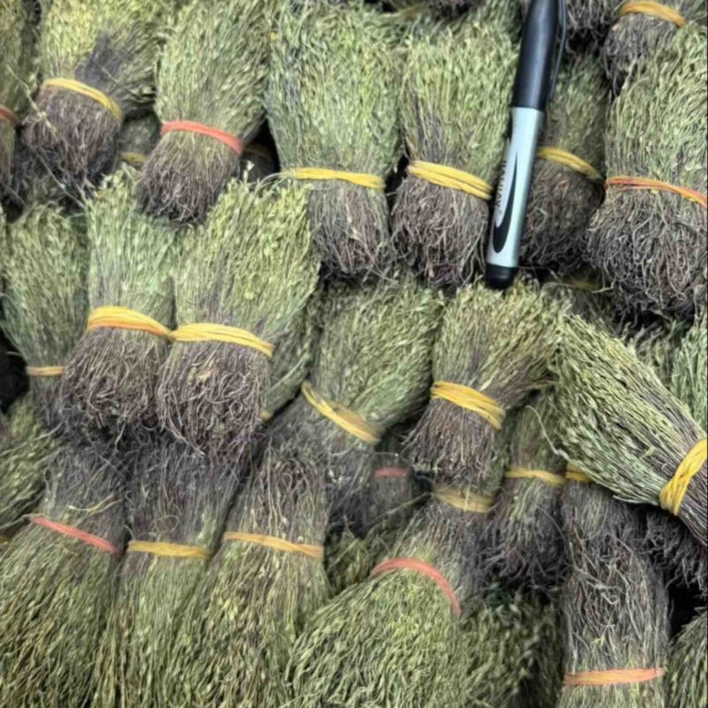 独脚金独脚疳短货精品A货青绿短一手货源大量供应