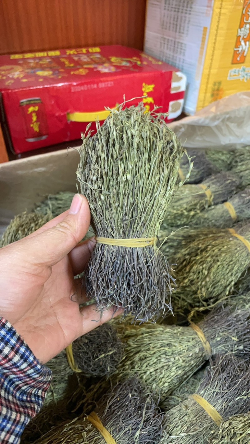 独脚金独脚疳短货精品A货青绿短一手货源大量供应