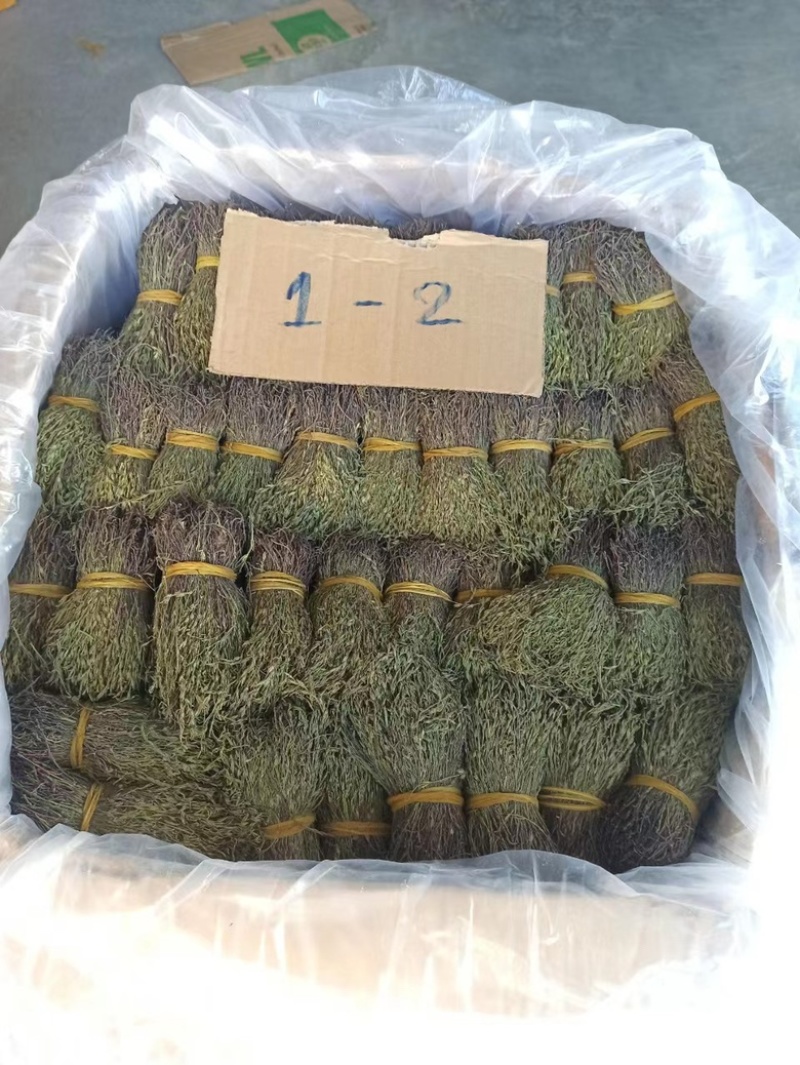 独脚金独脚疳短货精品A货青绿短一手货源大量供应