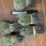 独脚金独脚疳短货精品A货青绿短一手货源大量供应