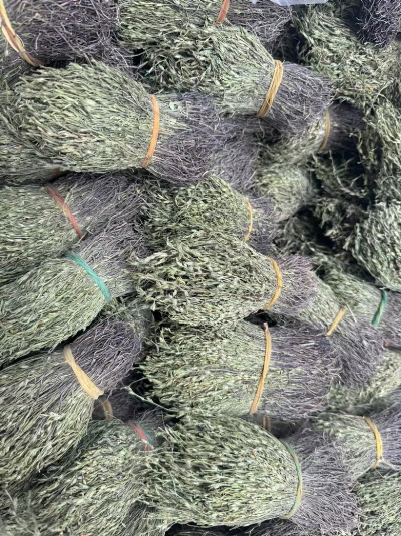 独脚金独脚疳短货精品A货青绿短一手货源大量供应