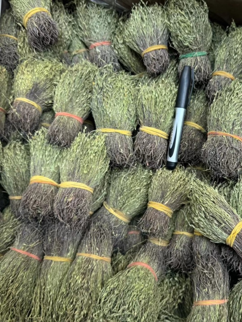 独脚金独脚疳短货精品A货青绿短一手货源大量供应