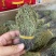 独脚金独脚疳短货精品A货青绿短一手货源大量供应