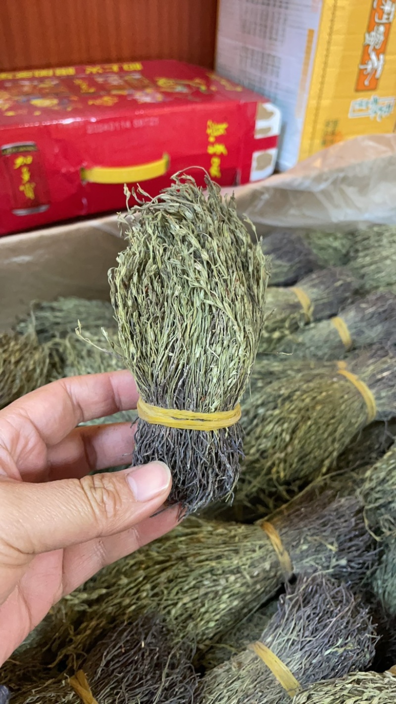 独脚金独脚疳短货精品A货青绿短一手货源大量供应