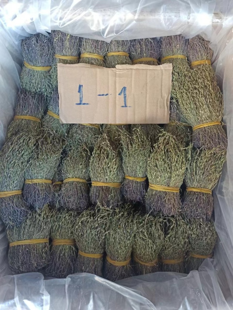 独脚金独脚疳短货精品A货青绿短一手货源大量供应