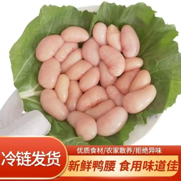 鸡腰子公鸡腰子鲜品冻品公鸡腰规格齐全全国发货