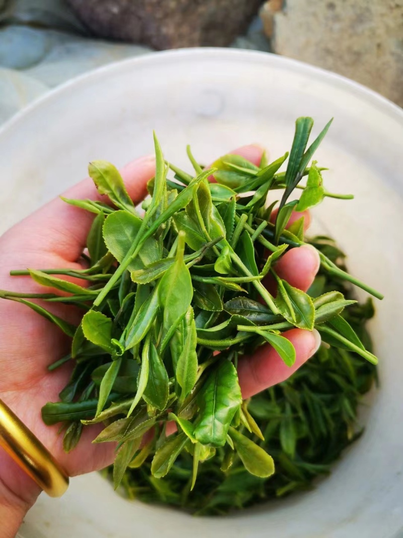 日照绿茶，产地直发，全国发货，大量供应，欢迎电话联系沟通