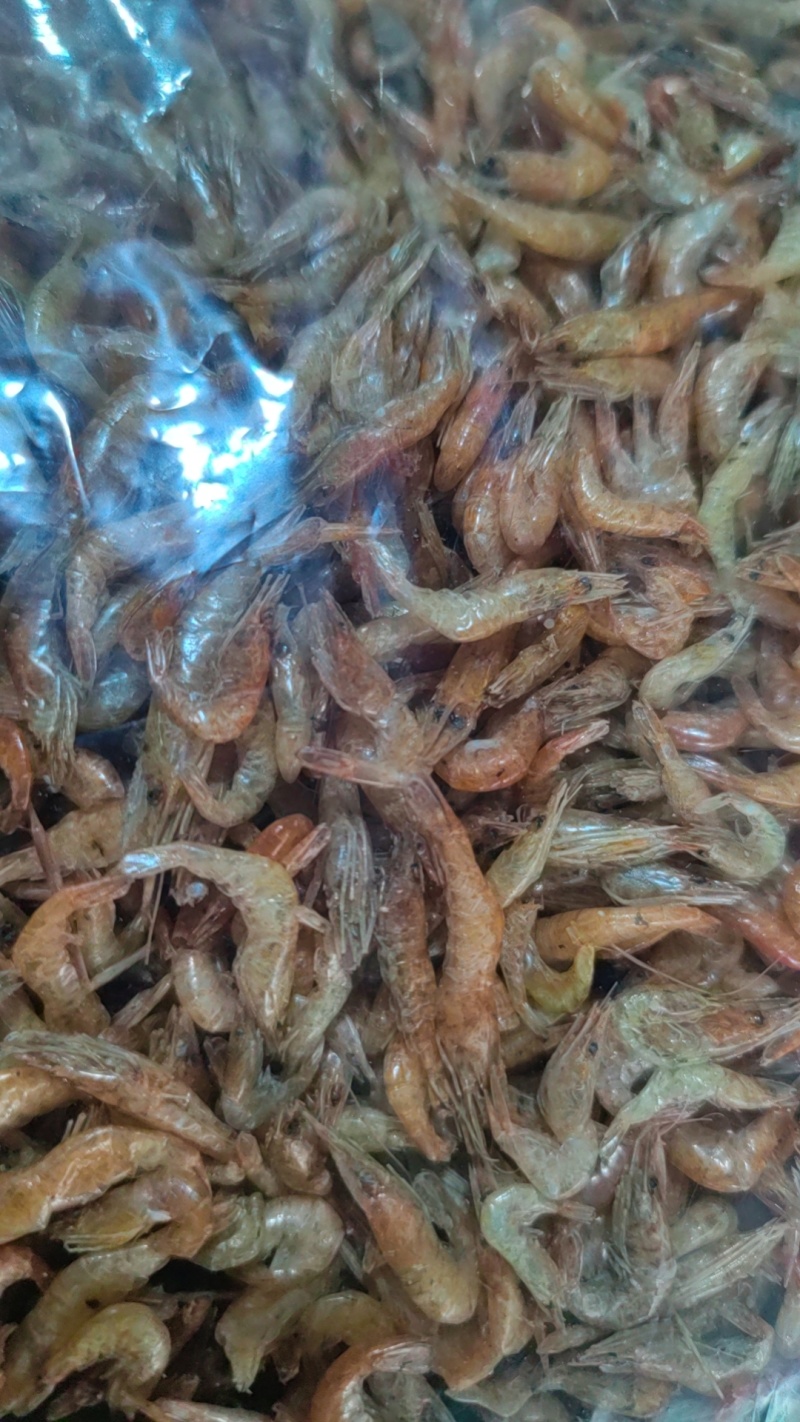 河虾小河虾