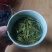 【推荐】黄山毛峰，明前春茶嫩芽茶叶产地直发