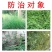树荣施靖-200克/升敌草快（货源充足咨询优惠）
