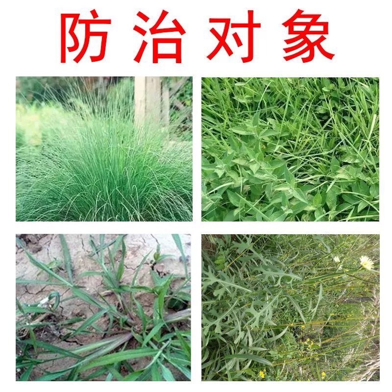 树荣施靖-200克/升敌草快（货源充足咨询优惠）