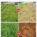 树荣施靖-200克/升敌草快（货源充足咨询优惠）