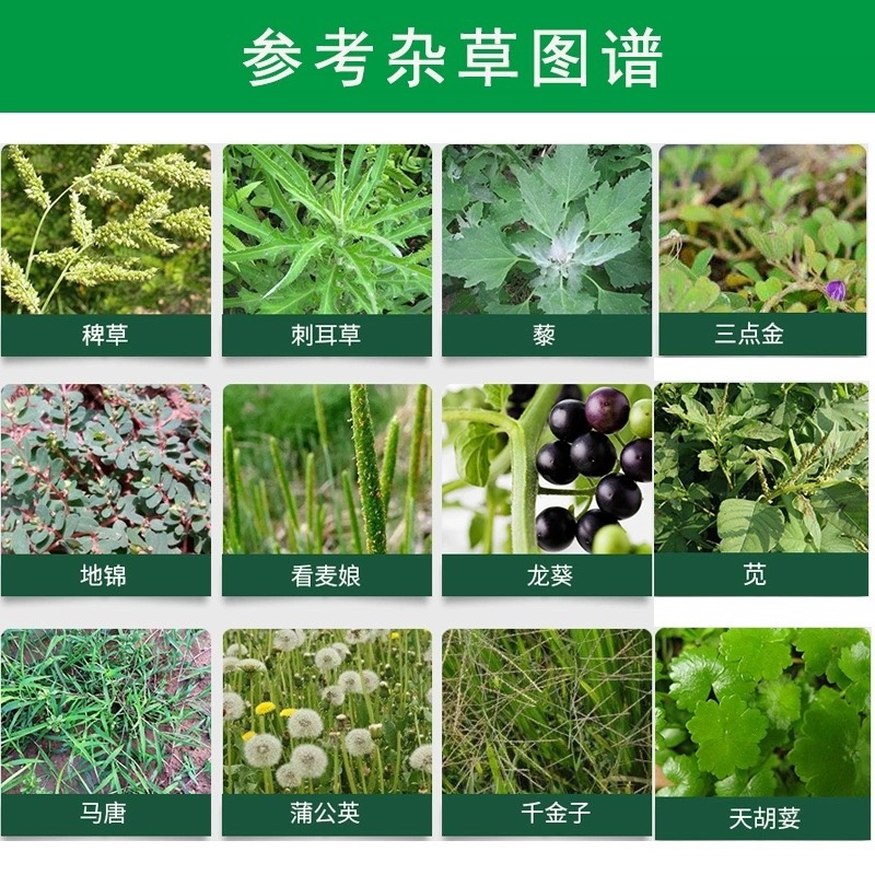 树荣施靖-200克/升敌草快（货源充足咨询优惠）