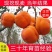 嫁接脆甜柿子树苗无核即食阳丰甜柿子树南北方种植当年柿子苗