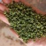 【推荐】四川青花椒，一手货源，品质保证，量大价优