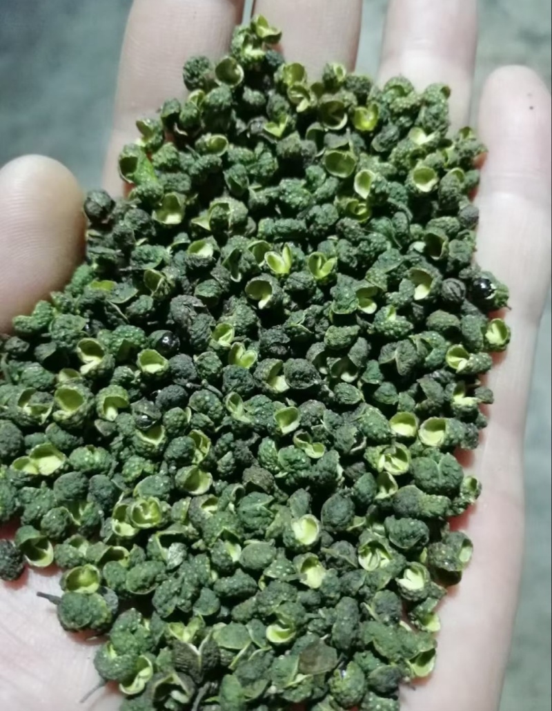 【推荐】四川青花椒，一手货源，品质保证，量大价优