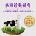 包邮[五罐]高钙益生菌骆驼奶粉蛋白粉驼奶中老年人罐装