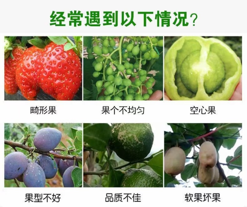 氨基酸营养液