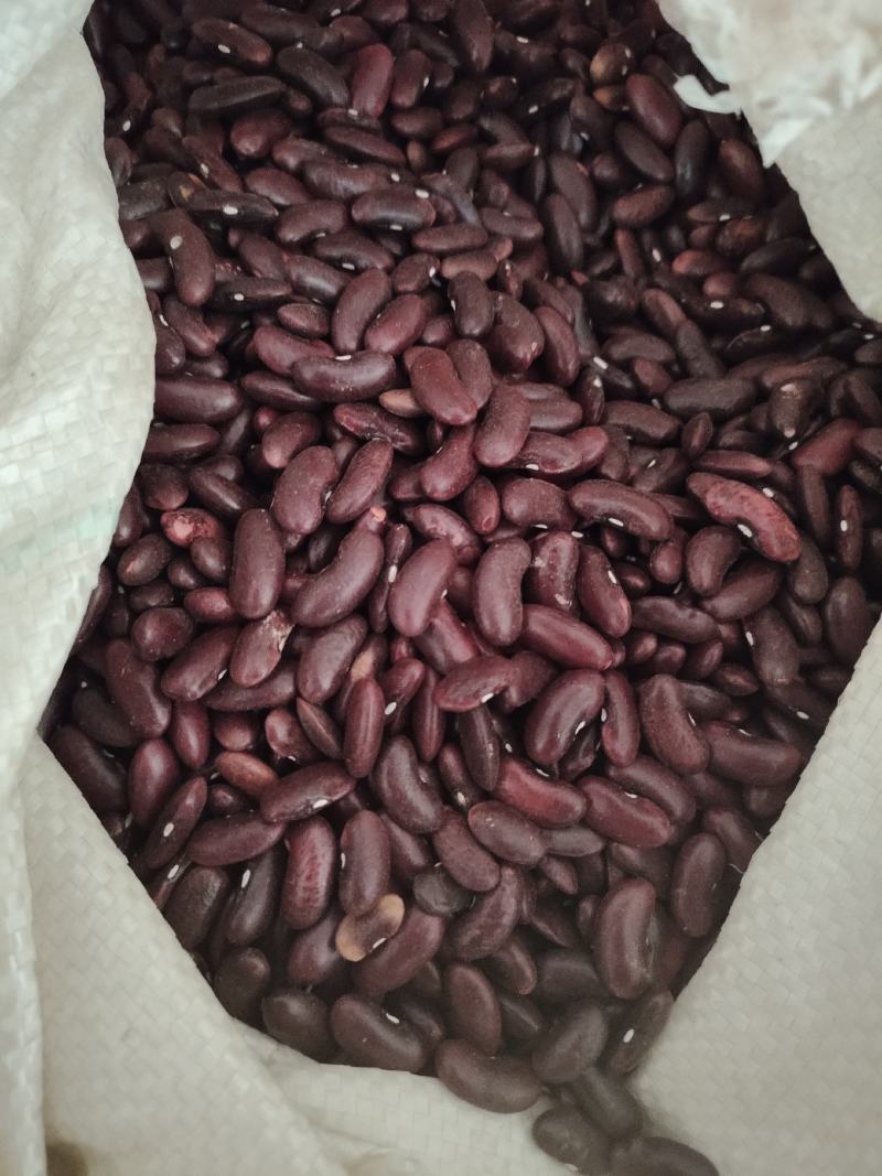 红腰豆云南红腰豆红豆