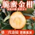 广西脆蜜金桔稼接苗，成活率高产地直发欢迎老板电联
