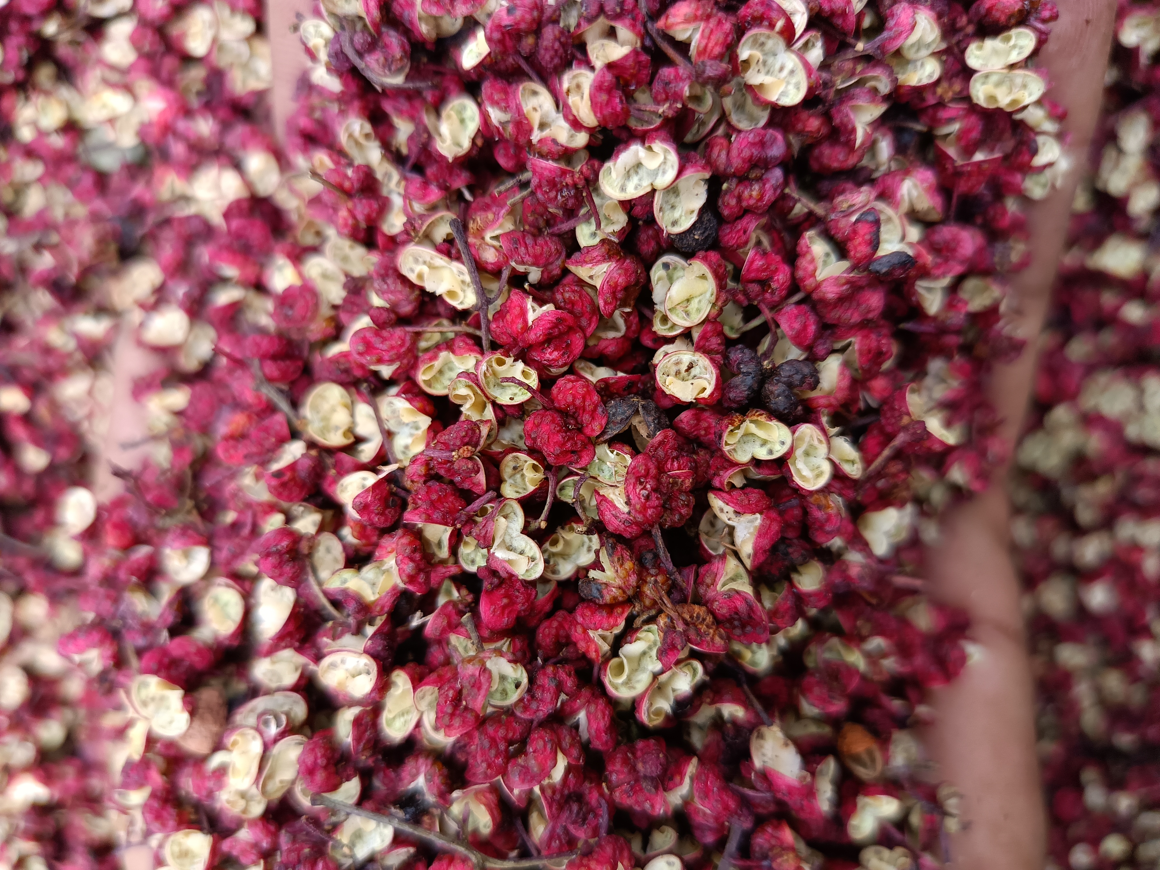 姜、蒜、花椒等非辣味调料,适合螺丝椒过敏者使用,增强风味又不引发过敏 辣椒替代香料图