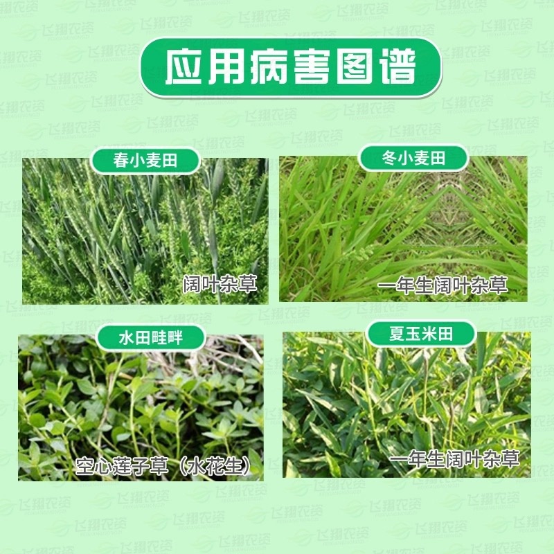 稳锐-200克/氯氟吡氧乙酸（货源充足欢迎咨询）