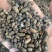 五灵脂