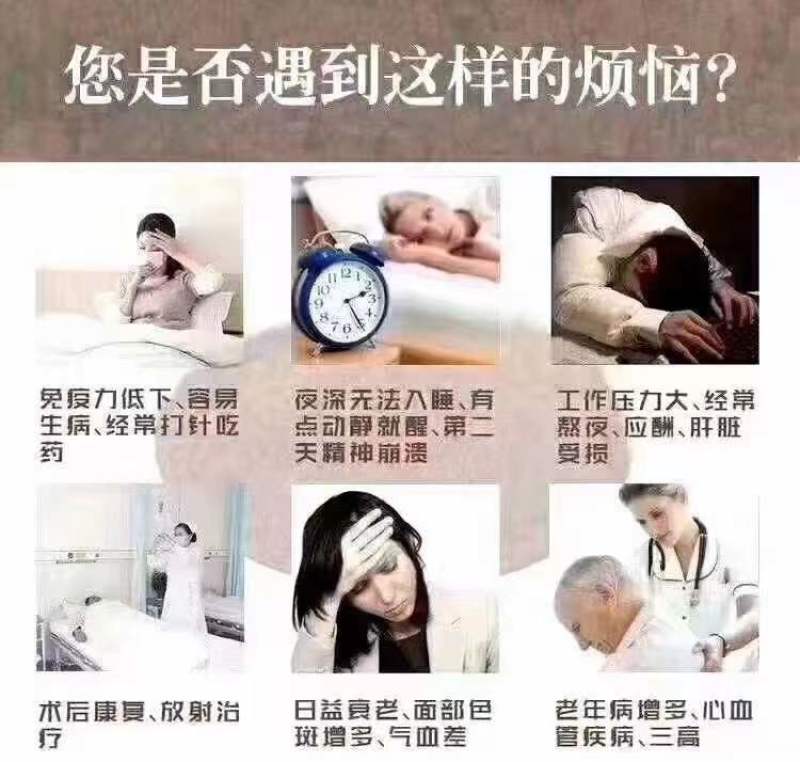 山东冠县金边灵芝，自家园生产加工，源头供应无差价，欢迎。