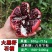 石榴树苗墨玉石榴特大石榴果树南北方种植庭院盆栽矮化墨石榴