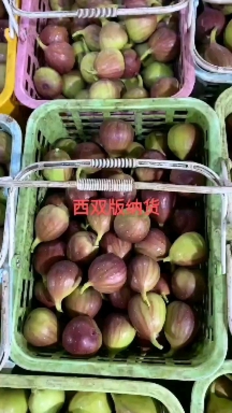 全年无花果，云南，四川，江苏，威海基地直发，坏果包