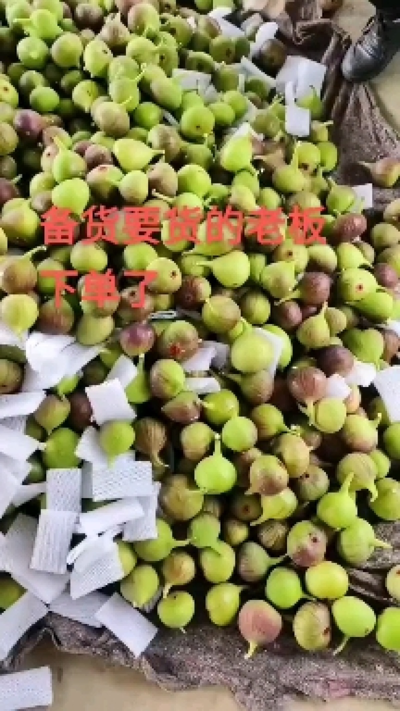 全年无花果，云南，四川，江苏，威海基地直发，坏果包