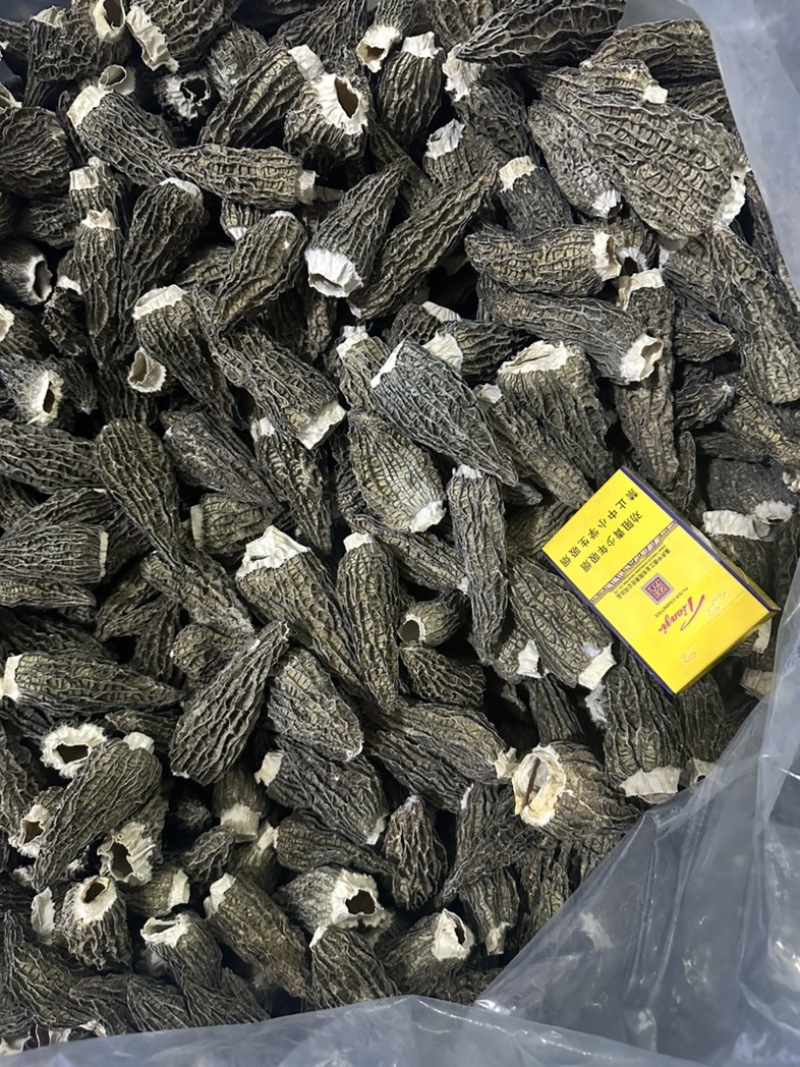 羊肚菌全剪干货七妹5-9