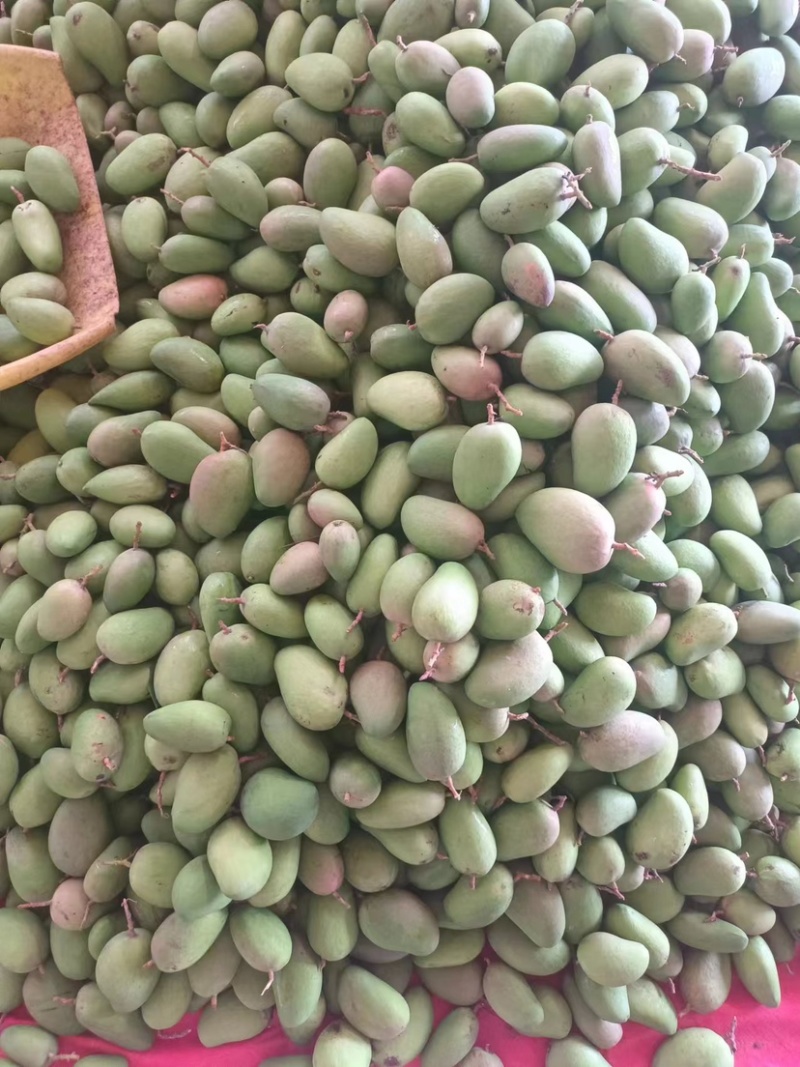 云南芒果台芒贵妃芒金煌芒鹰嘴芒苹果芒大量供应欢迎来电