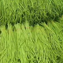河南焦作博爱精品豇豆，长豆角大量上市，无农药残留