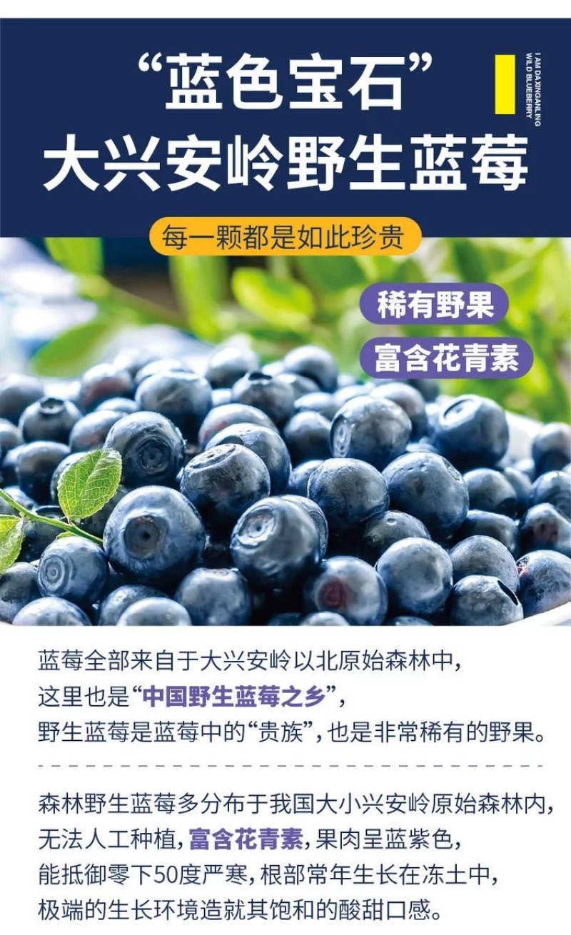 代发价秒1箱【小刺猬の烦恼蓝莓迷你脆】超火的零食