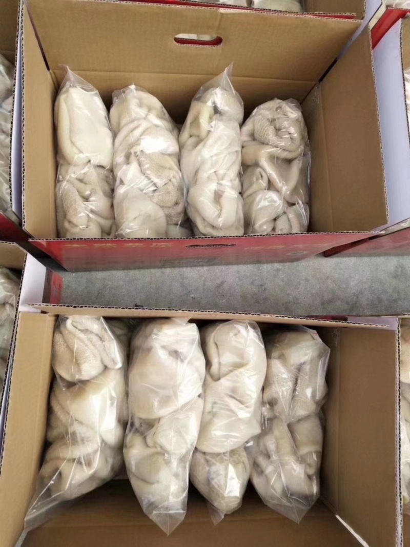 郑州羊肚品质保证诚信经营欢迎联系厂家直销