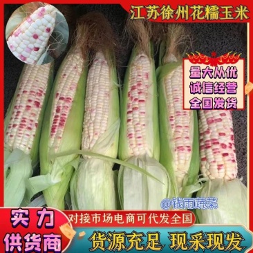 江苏徐州花糯玉米彩玉米产地一手货源实力代发全国商超