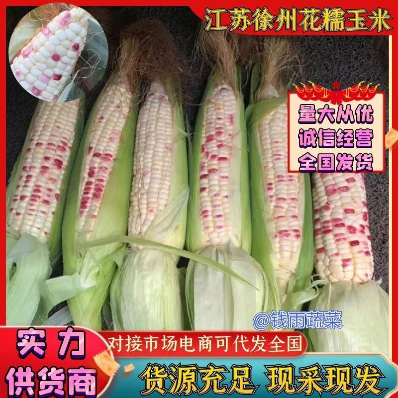 江苏徐州花糯玉米彩玉米产地一手货源实力代发全国商超